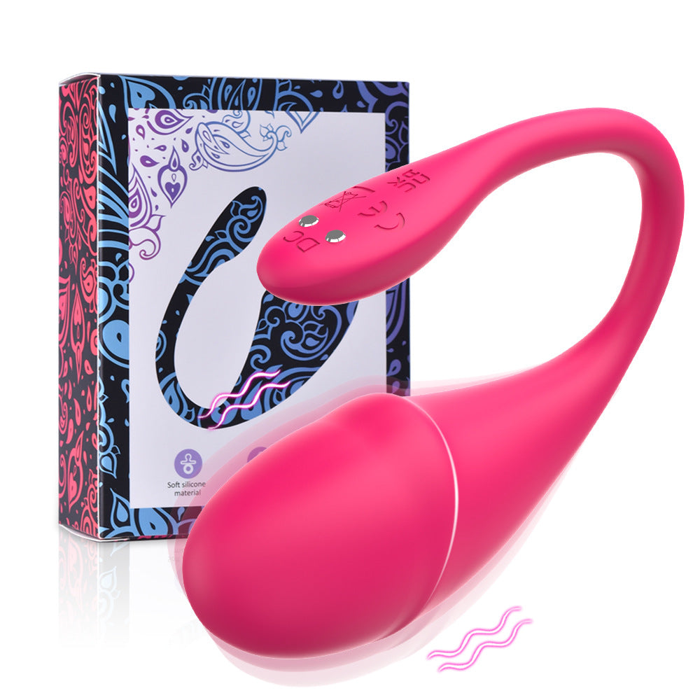 Little Dolphin APP program wireless remote control vibrator female masturbator female sex toy