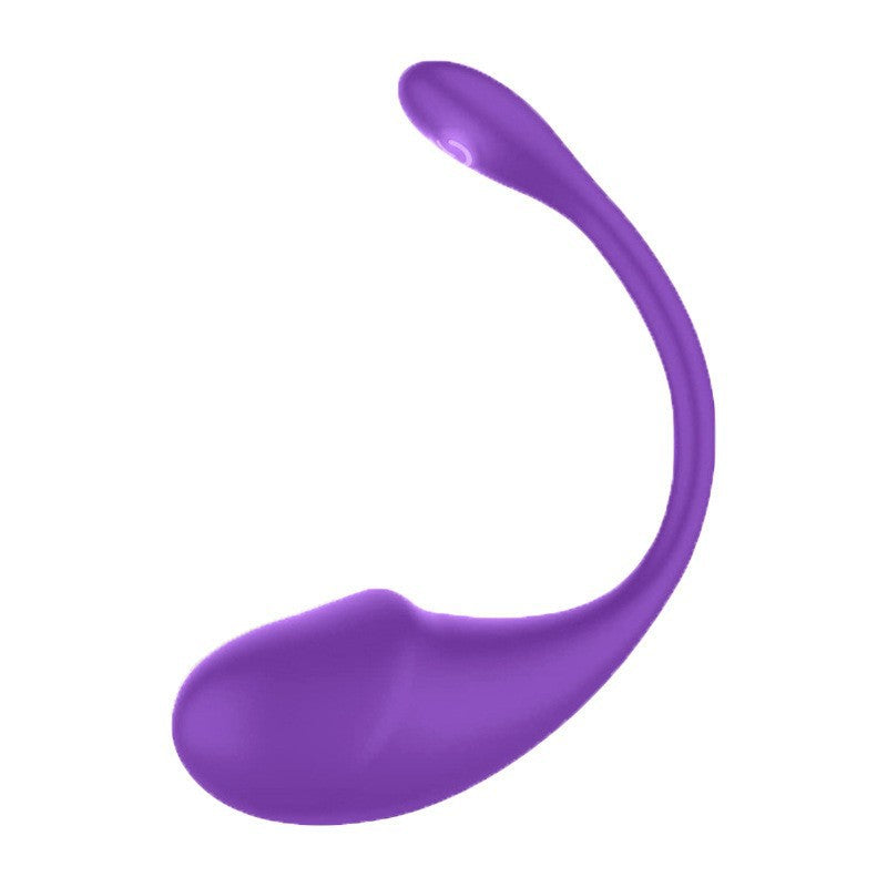 APP remote control dual shock vibrator female wireless panty vibrator G spot vibrator