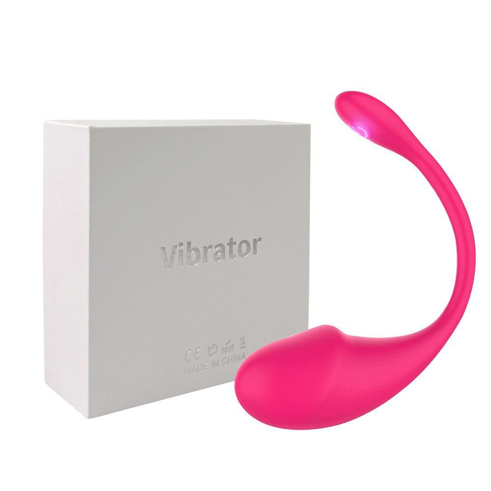 APP remote control dual shock vibrator female wireless panty vibrator G spot vibrator