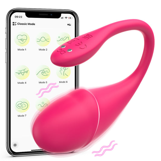 Little Dolphin APP program wireless remote control vibrator female masturbator female sex toy