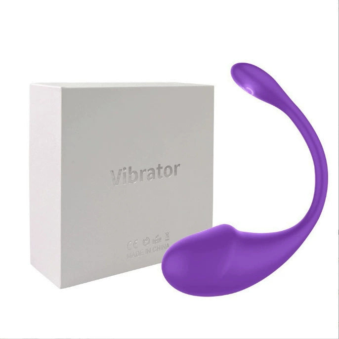 APP remote control dual shock vibrator female wireless panty vibrator G spot vibrator